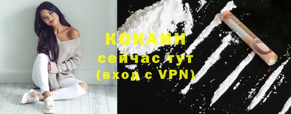 индика Белоозёрский