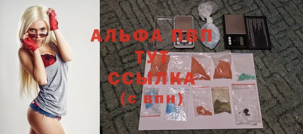 индика Белоозёрский