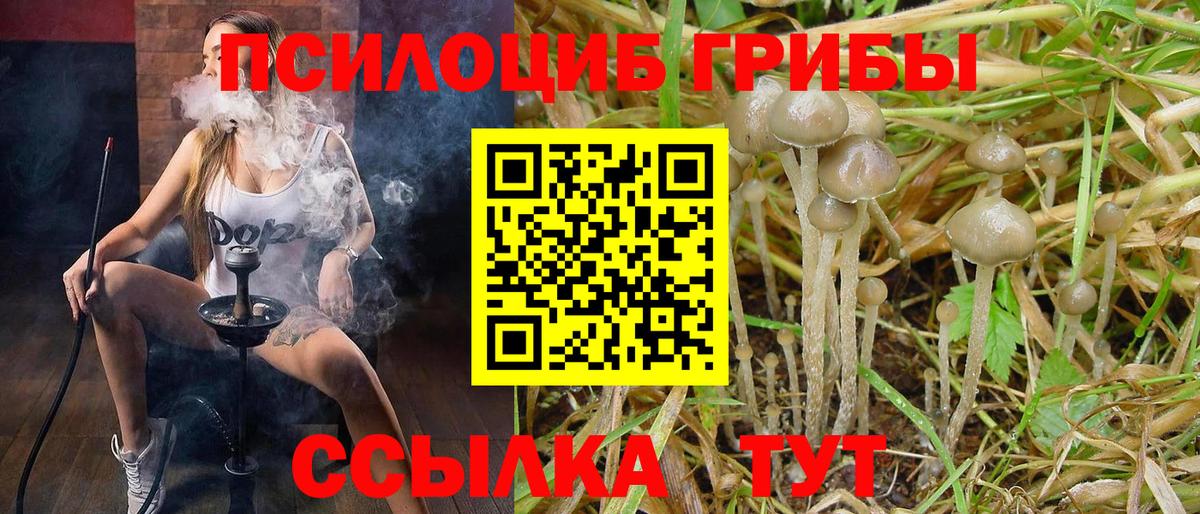 Псилоцибиновые грибы MAGIC MUSHROOMS  Вход с VPN  Бугуруслан 