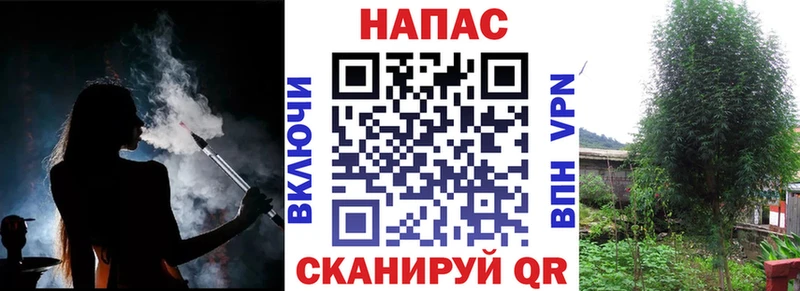 Бошки Шишки THC 21%  где можно купить наркотик  darknet как зайти  Бугуруслан 